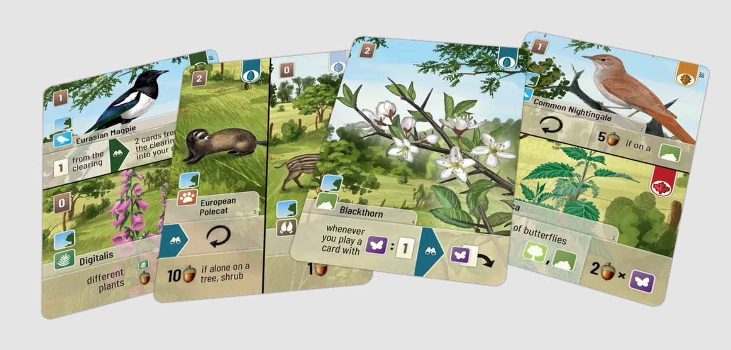 Forest Shuffle: Woodland Edge Expansion