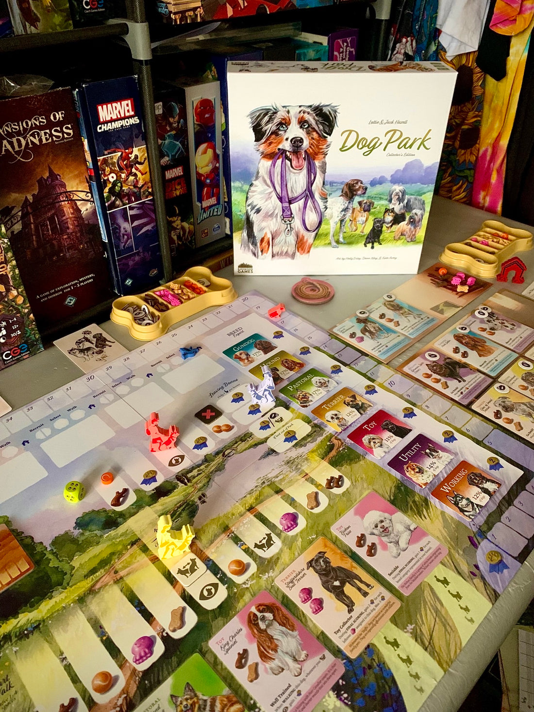 Dog Park Review by Boardgameswithjoe