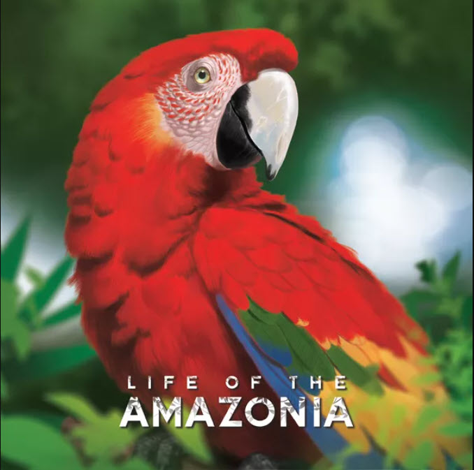 Life Of The Amazonia Board Game
