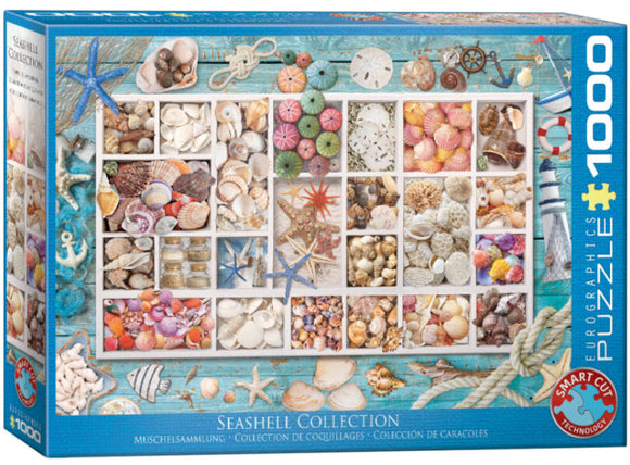 Seashell Collection 1000 Piece Puzzle by Eurographics