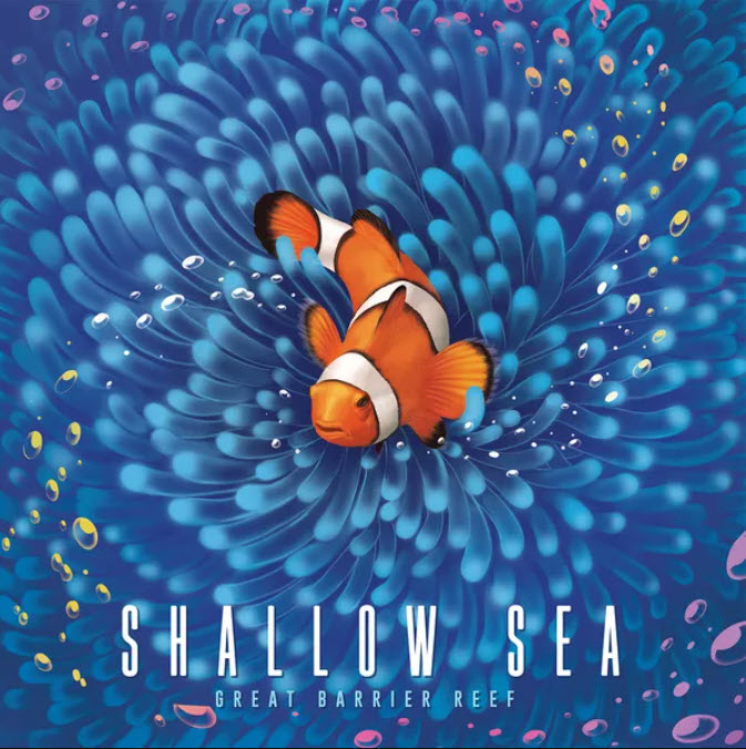 Shallow Sea Board Game