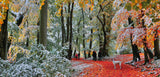 Snow In Autumn 636 Piece Puzzle By Gibsons