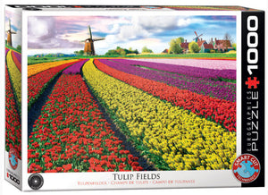 Tulip Fields- Netherlands 1000 Piece Puzzle by Eurographics
