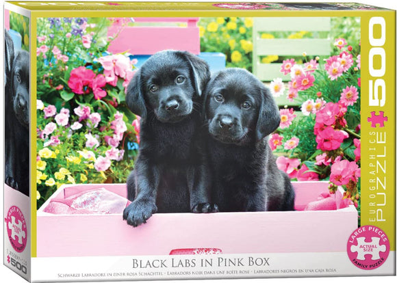 Black Labs in Pink Box 500 XL Piece Puzzle by Eurographics