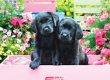 Black Labs in Pink Box 500 XL Piece Puzzle by Eurographics