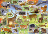 British Wildlife 500 Piece Puzzle By Gibsons