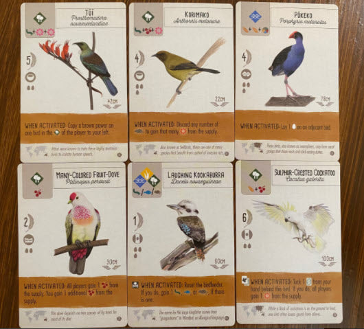 Wingspan Oceania Expansion